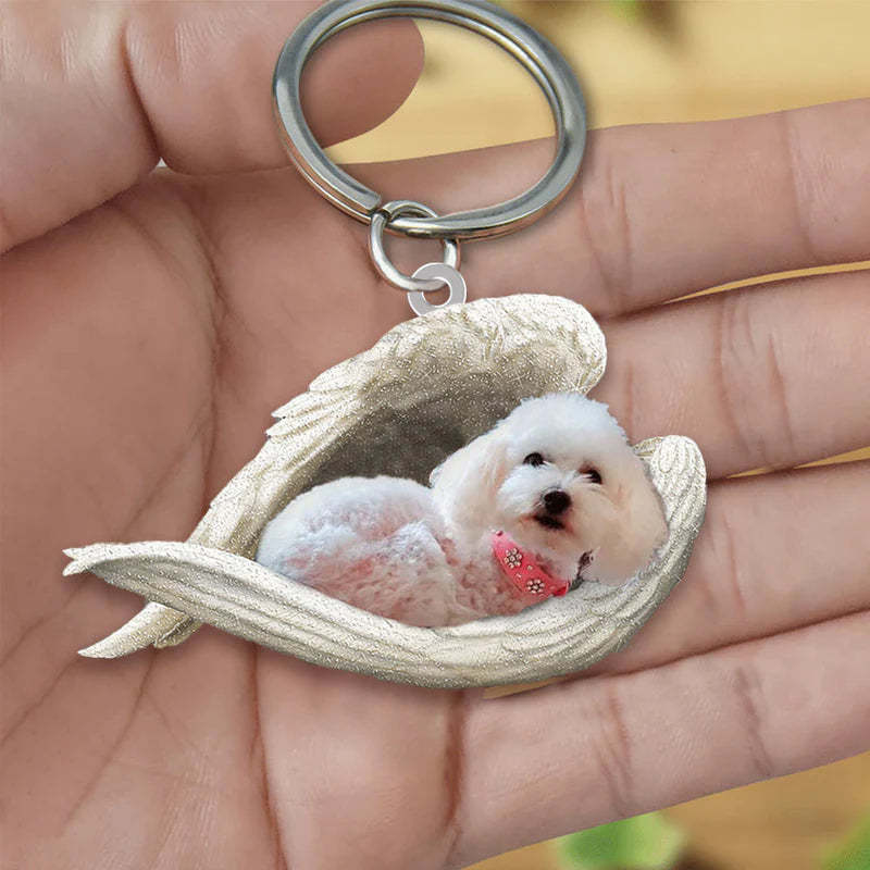 Sleeping Angel Acrylic Keychain Maltipoo SA077-Jolura