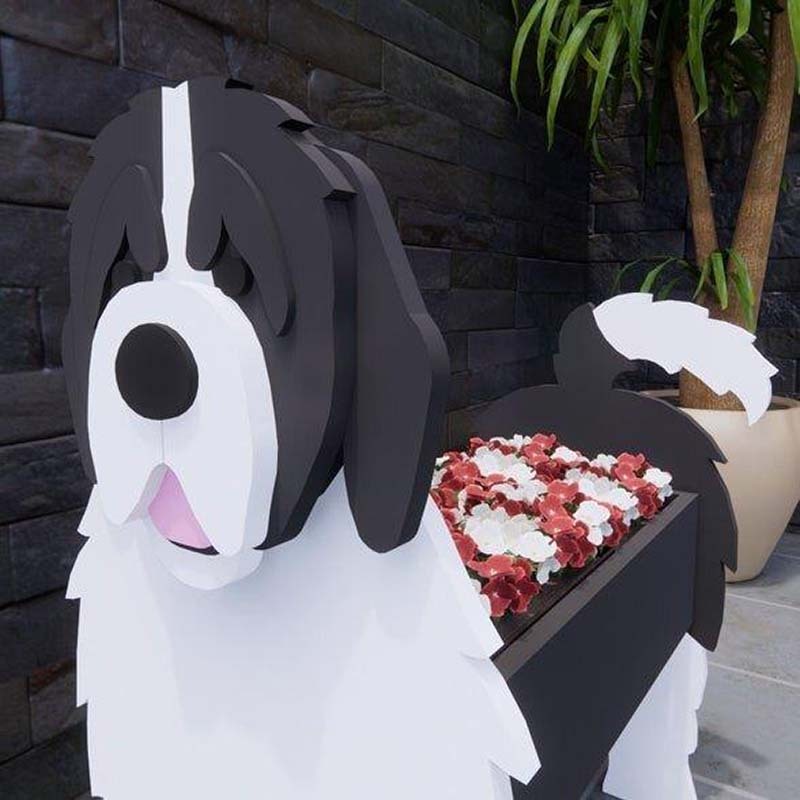 Newfoundland Planter AP035-Jolura