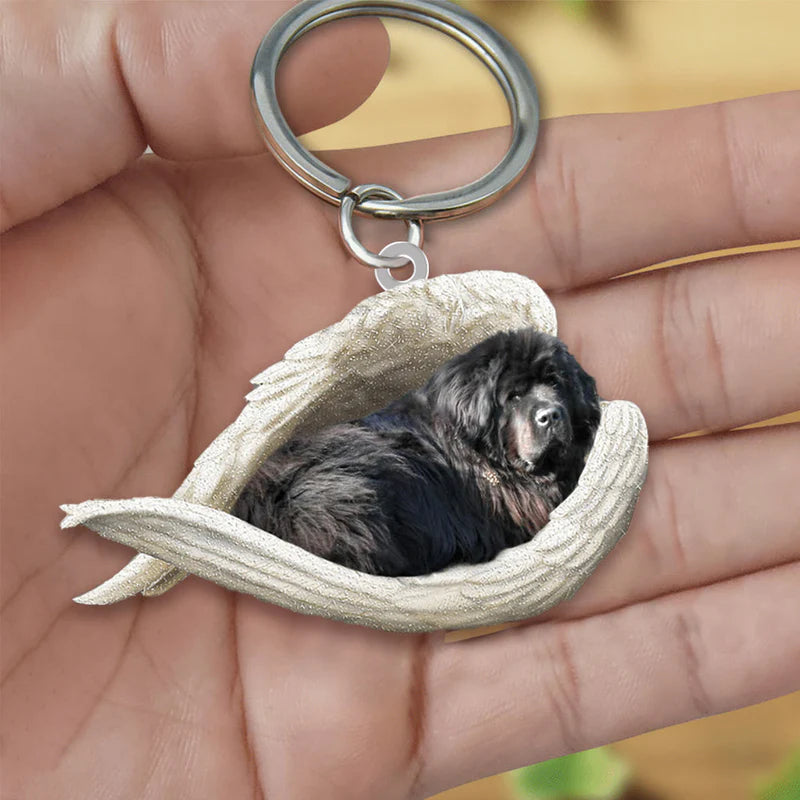 Sleeping Angel Acrylic Keychain New Foundland Dog SA083-Jolura
