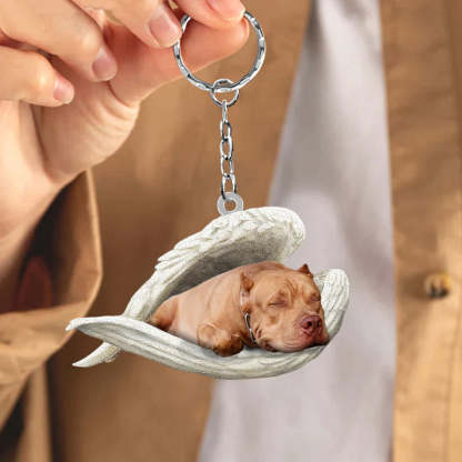 Sleeping Angel Acrylic Keychain Pit Bull SA061-Jolura