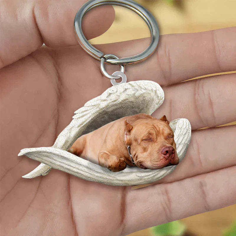Sleeping Angel Acrylic Keychain Pit Bull SA061-Jolura