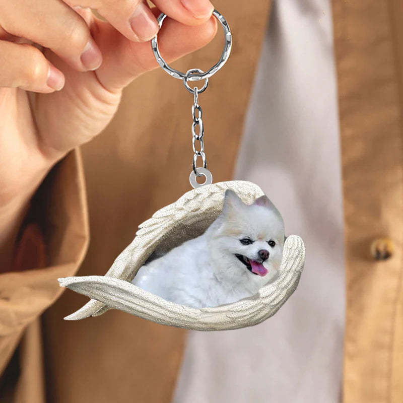 Sleeping Angel Acrylic Keychain Pomeranian SA108-Jolura