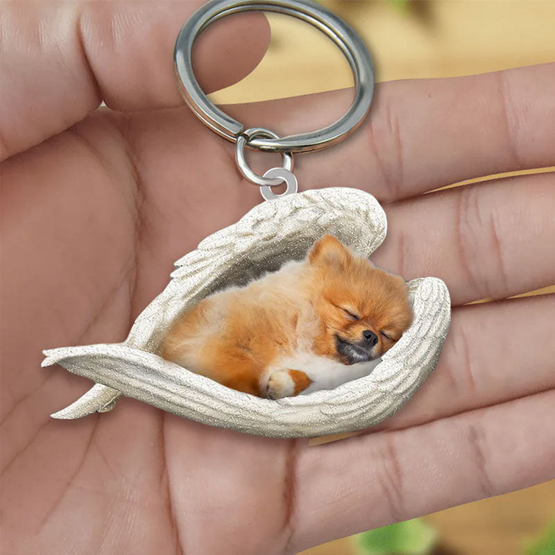 Sleeping Angel Acrylic Keychain Pomeranian SA024-Jolura
