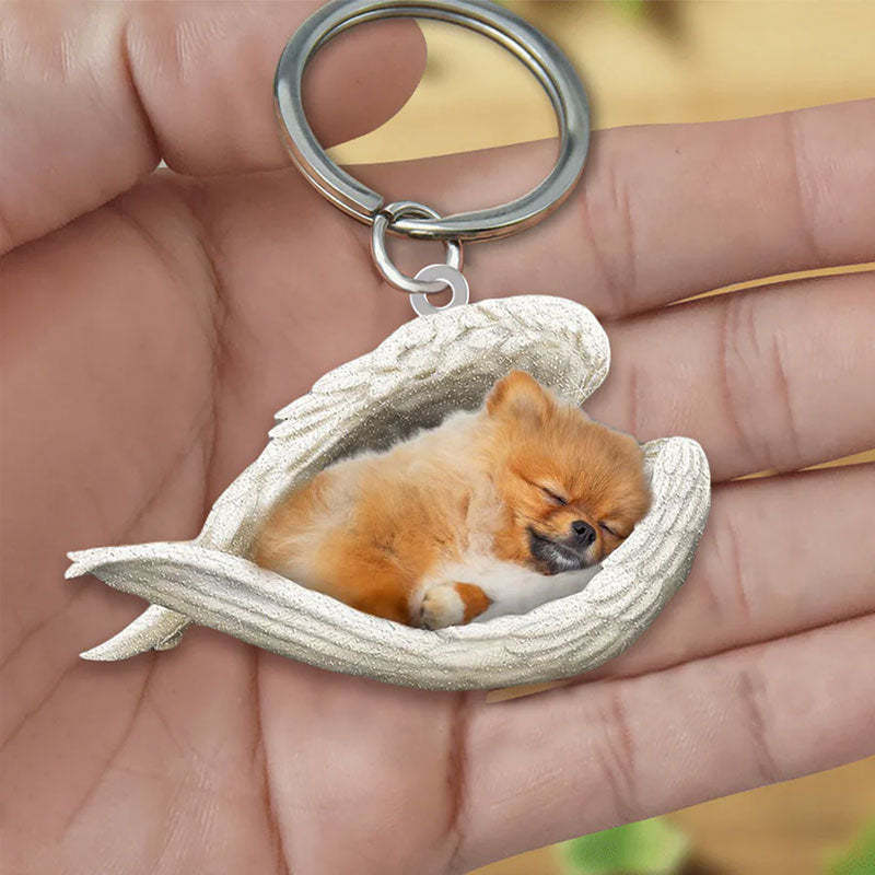 Sleeping Angel Acrylic Keychain Pomeranian SA024-Jolura