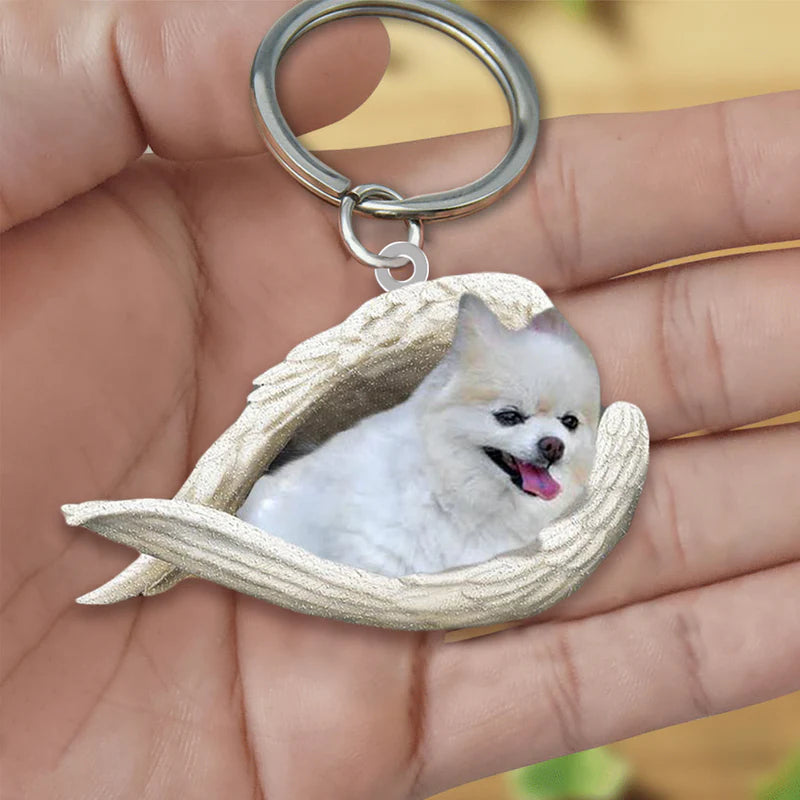 Sleeping Angel Acrylic Keychain Pomeranian SA108-Jolura