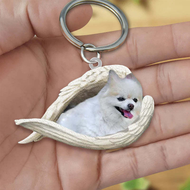 Sleeping Angel Acrylic Keychain Pomeranian SA108-Jolura