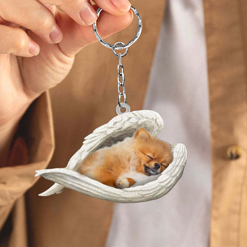 Sleeping Angel Acrylic Keychain Pomeranian SA024-Jolura
