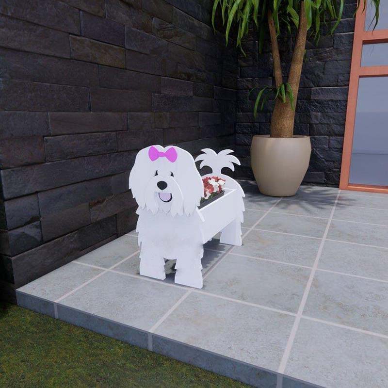 Tulear Coton Planter AP039-Jolura