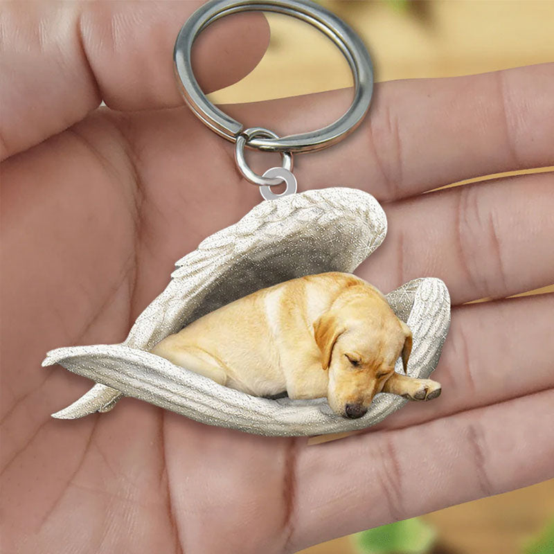 Sleeping Angel Acrylic Keychain Yellow Labrador SA008-Jolura