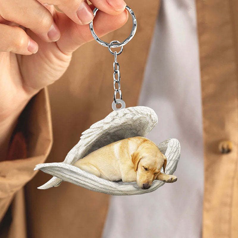 Sleeping Angel Acrylic Keychain Yellow Labrador SA008-Jolura