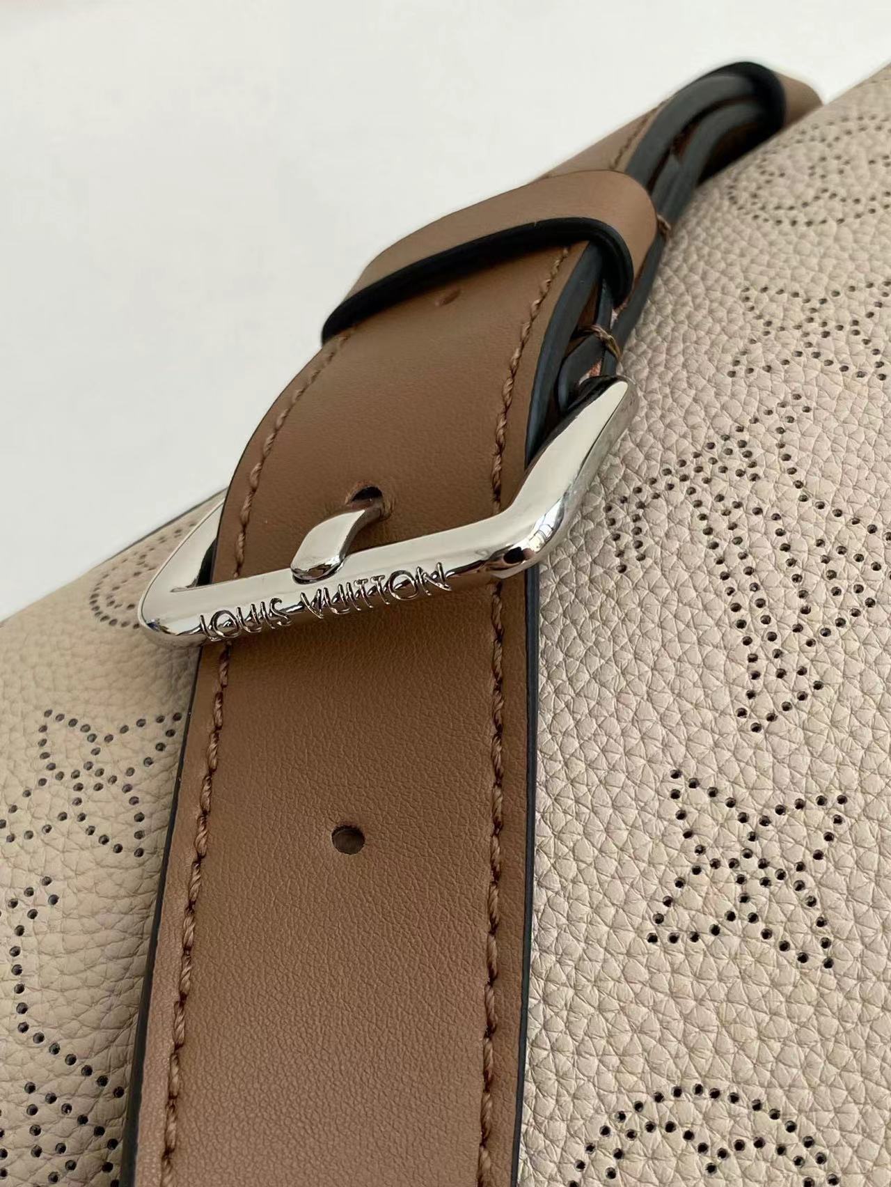 LV BAG/ 12.6 x 10.2 x 6.7 inches 