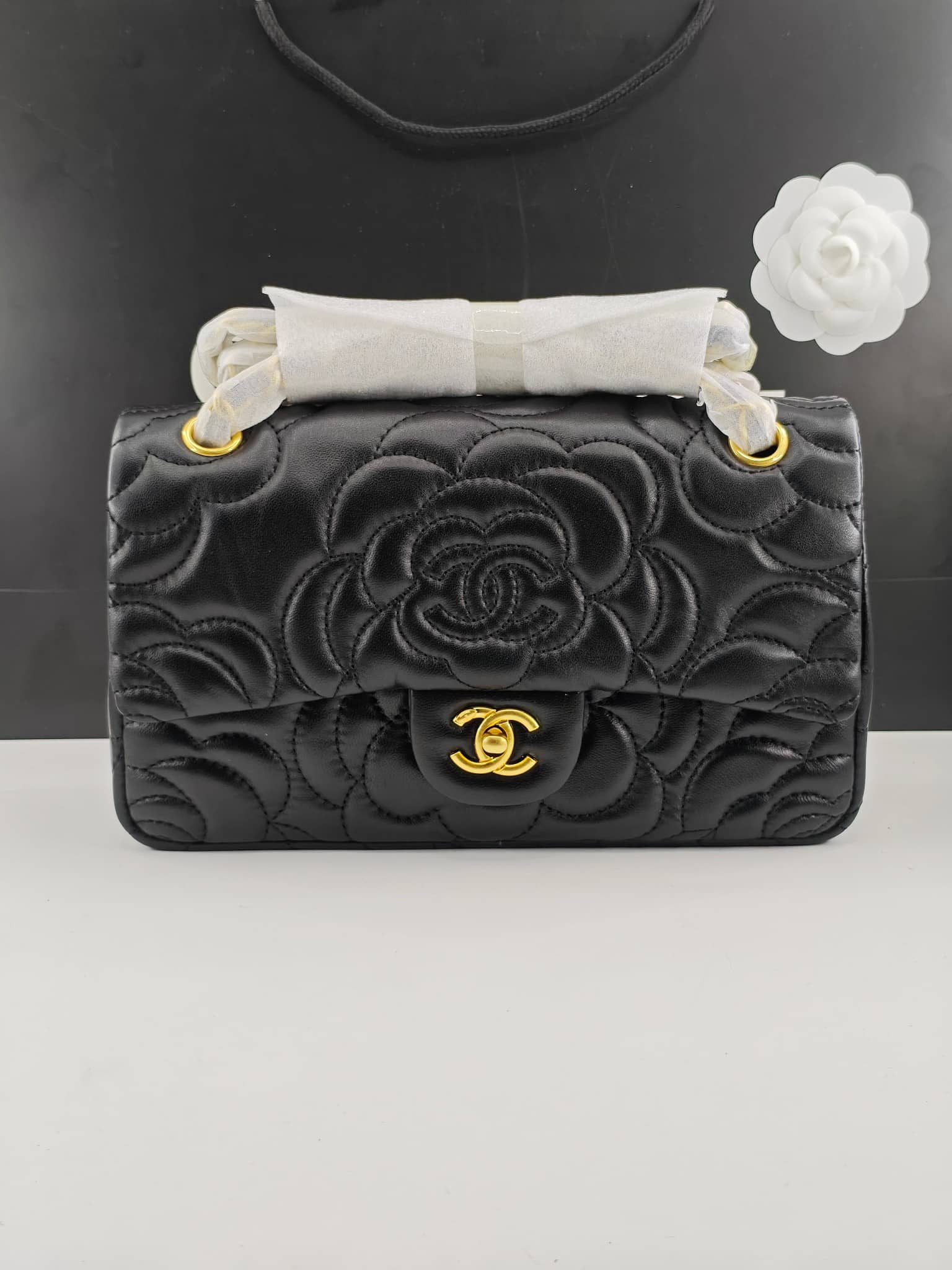 CN BAG/ 25 x 15 x 7 cm 