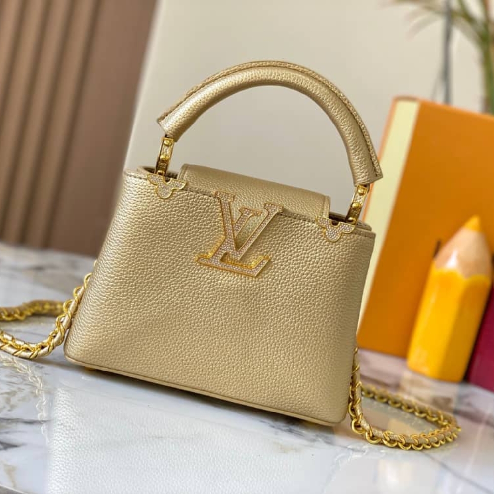 LV BAG/ 21 x 13.6 x 8 cm
