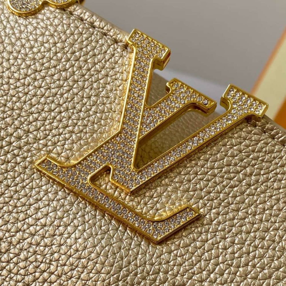 LV BAG/ 21 x 13.6 x 8 cm