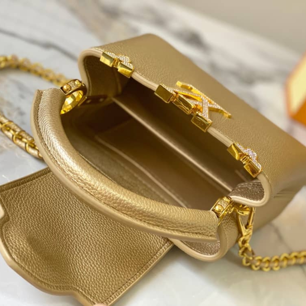 LV BAG/ 21 x 13.6 x 8 cm