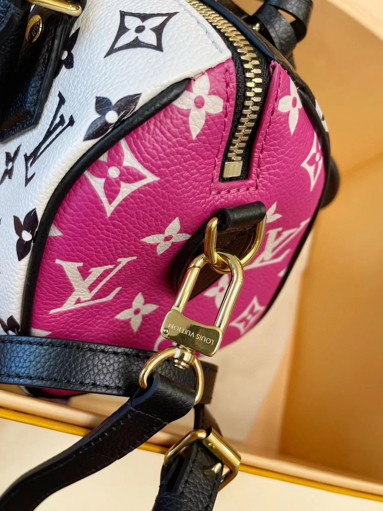 LV BAG/ 20.5 x 13.5 x 12 cm 