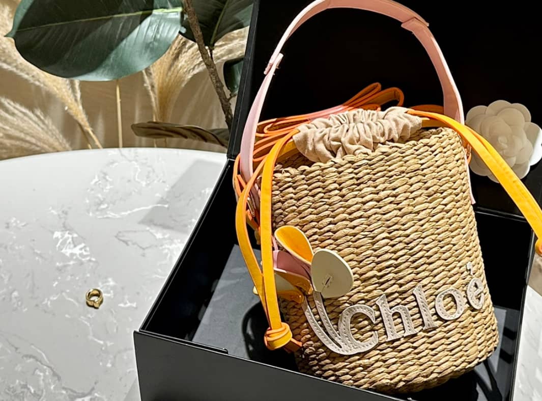 Miu Miu and Chloé bags 