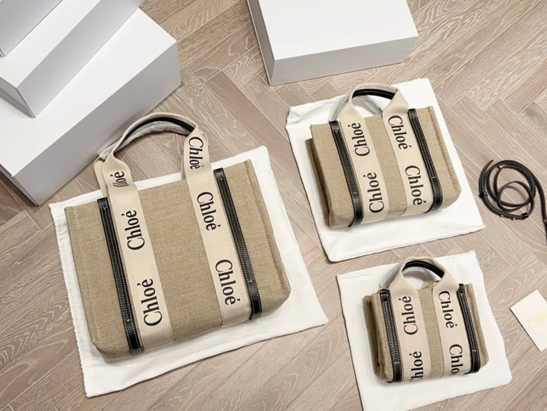 Miu Miu and Chloé bags 