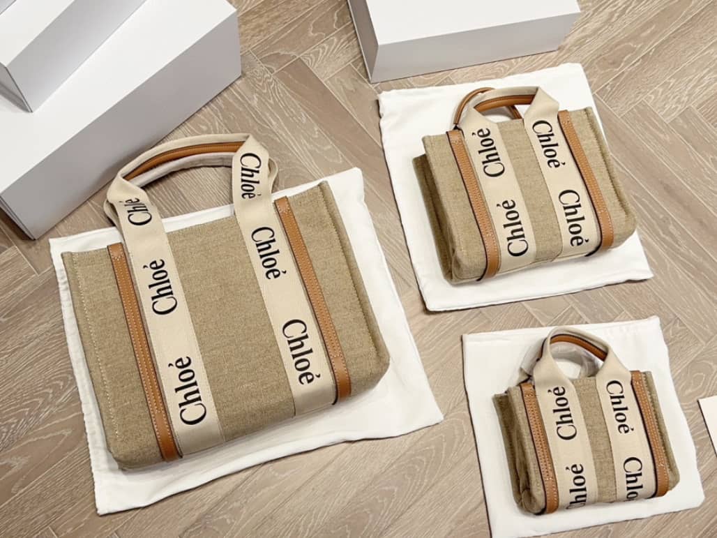 Miu Miu and Chloé bags 