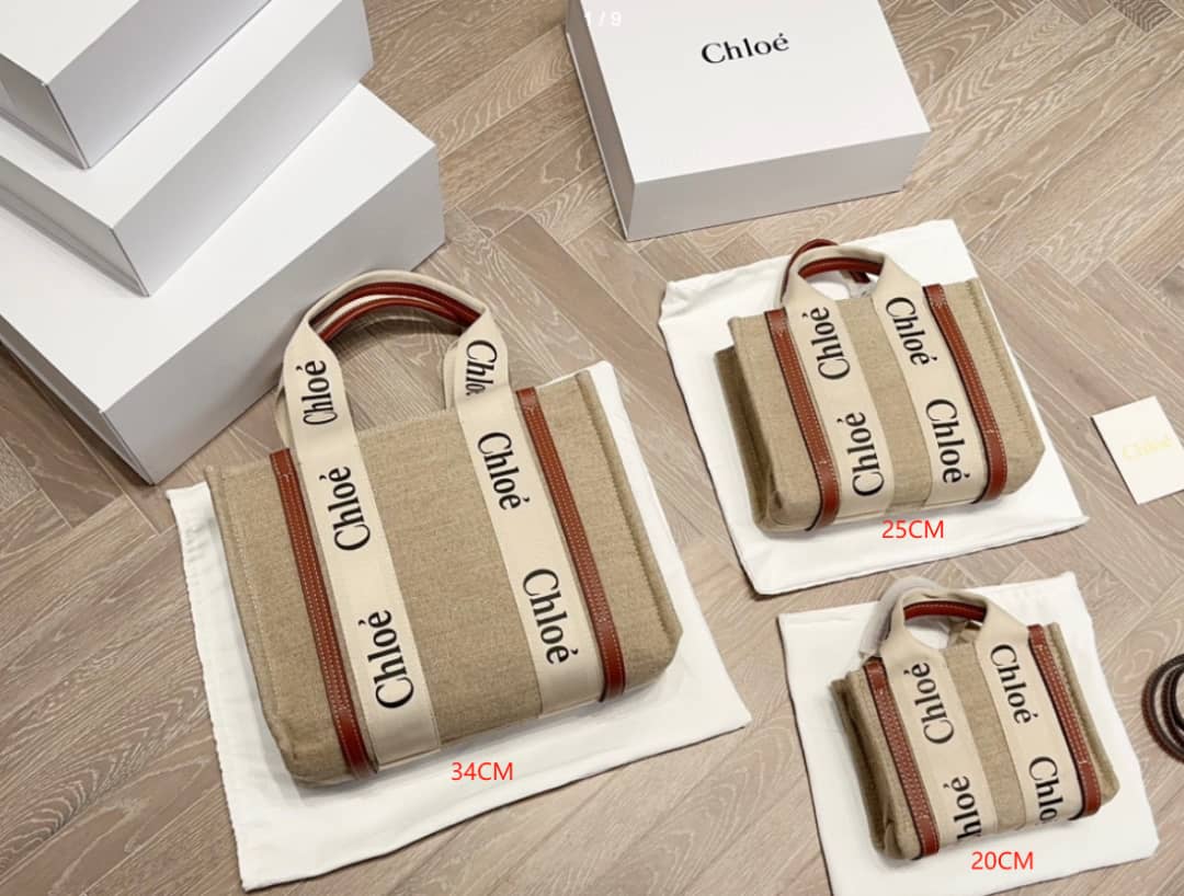 Miu Miu and Chloé bags 