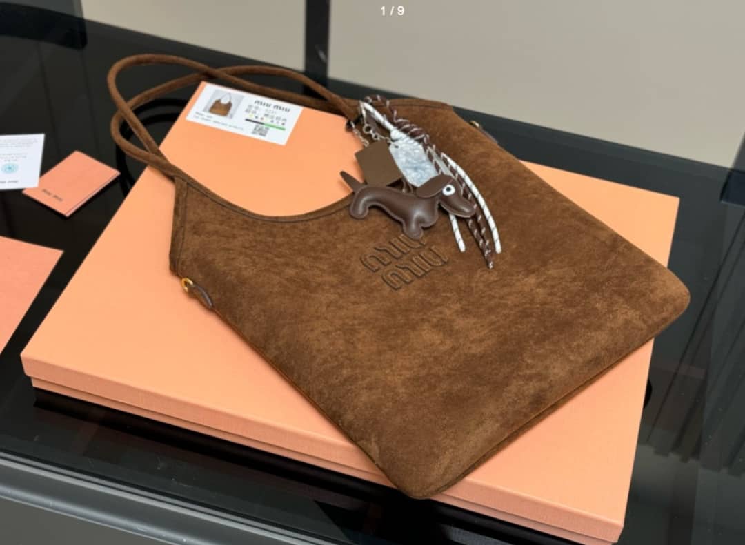 Miu Miu and Chloé bags 
