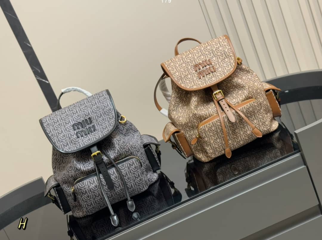Miu Miu and Chloé bags 