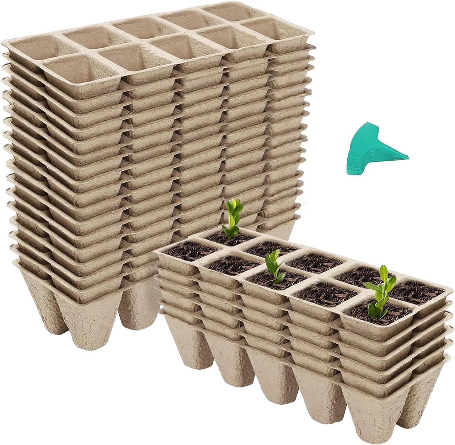240 Cells Peat Pots Seed Starter Trays, 24 Packs Biodegradable Seedling Pots Germination Trays, Organic Plant Starter Kit with 15 Pcs Plant Labels