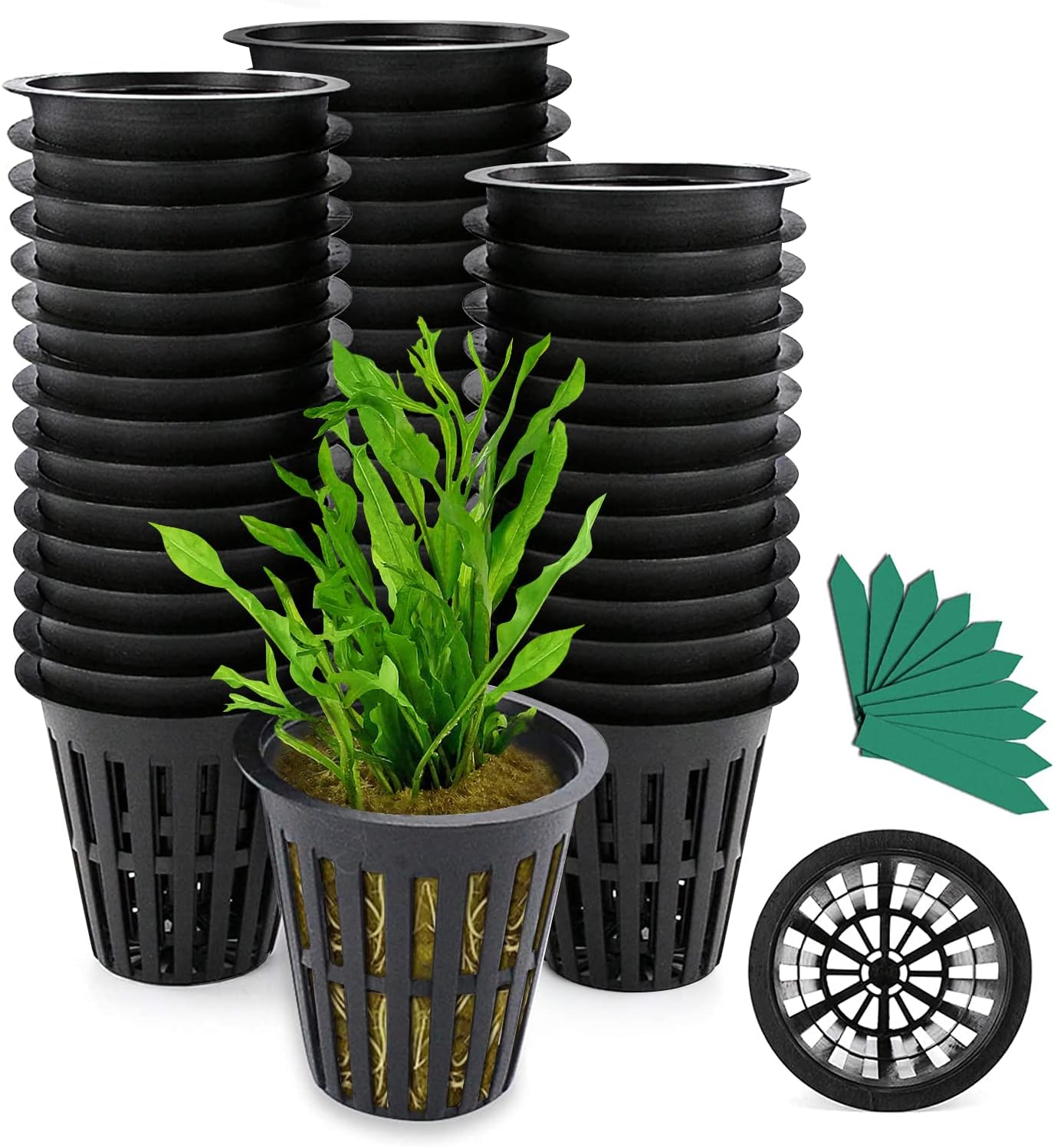 Net Pot, 50 Pcs 2 Inch Garden Slotted Mesh Net Cups, Heavy Duty Hydroponic Cups Mesh Pots with 50Pcs Plant Labels, Hydroponic Planting Pots Grow Basket for Indoor Outdoor