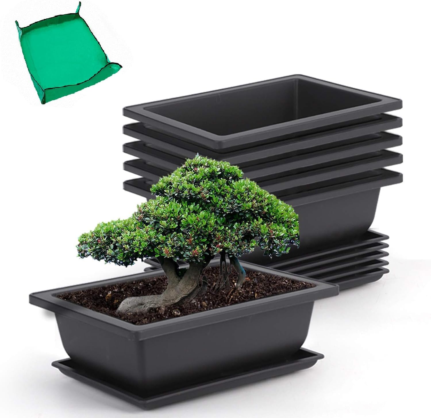 6 Pack 9 Inch Bonsai Training Pots with Drainage Humidity Trays, Bonsai Tree Pots with 1 Repotting Mat, Bonsai Container Planter Growing Pot for Garden, Yard, Balcony, Office, Living Room