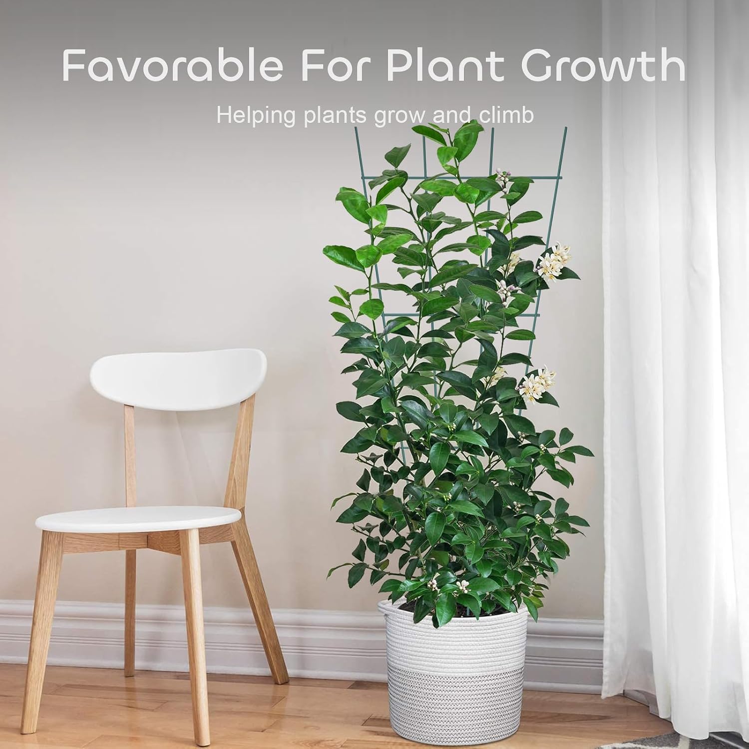 3 Pcs 43" Garden Trellis for Potted Plants, Metal Trellis for Climbing Plants Outdoor Indoor, Vertical Shape Plant Support with 20 Pcs Cable Ties for Houseplant Flower Vines Ivy