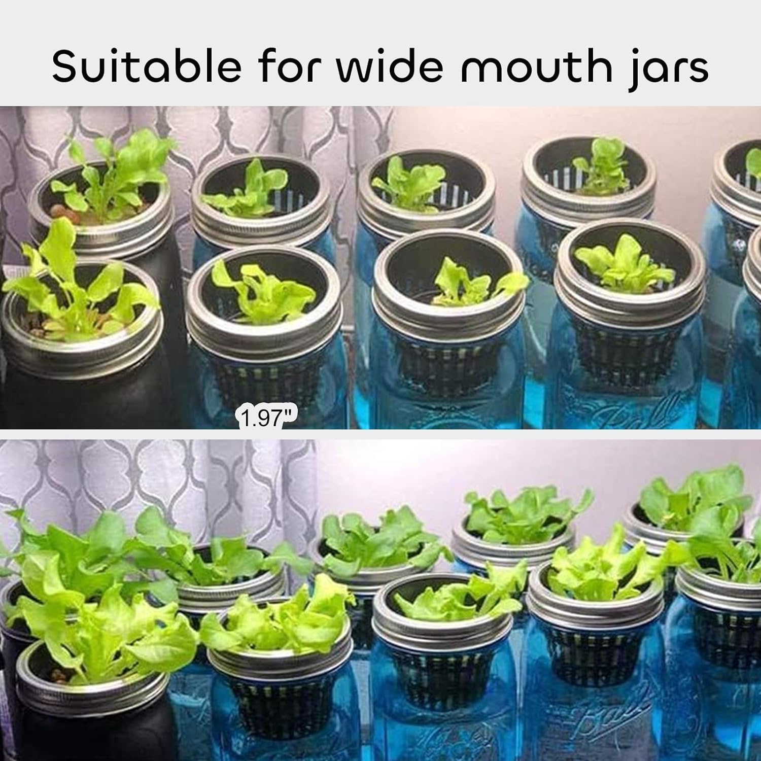 Net Pot, 50 Pcs 2 Inch Garden Slotted Mesh Net Cups, Heavy Duty Hydroponic Cups Mesh Pots with 50Pcs Plant Labels, Hydroponic Planting Pots Grow Basket for Indoor Outdoor