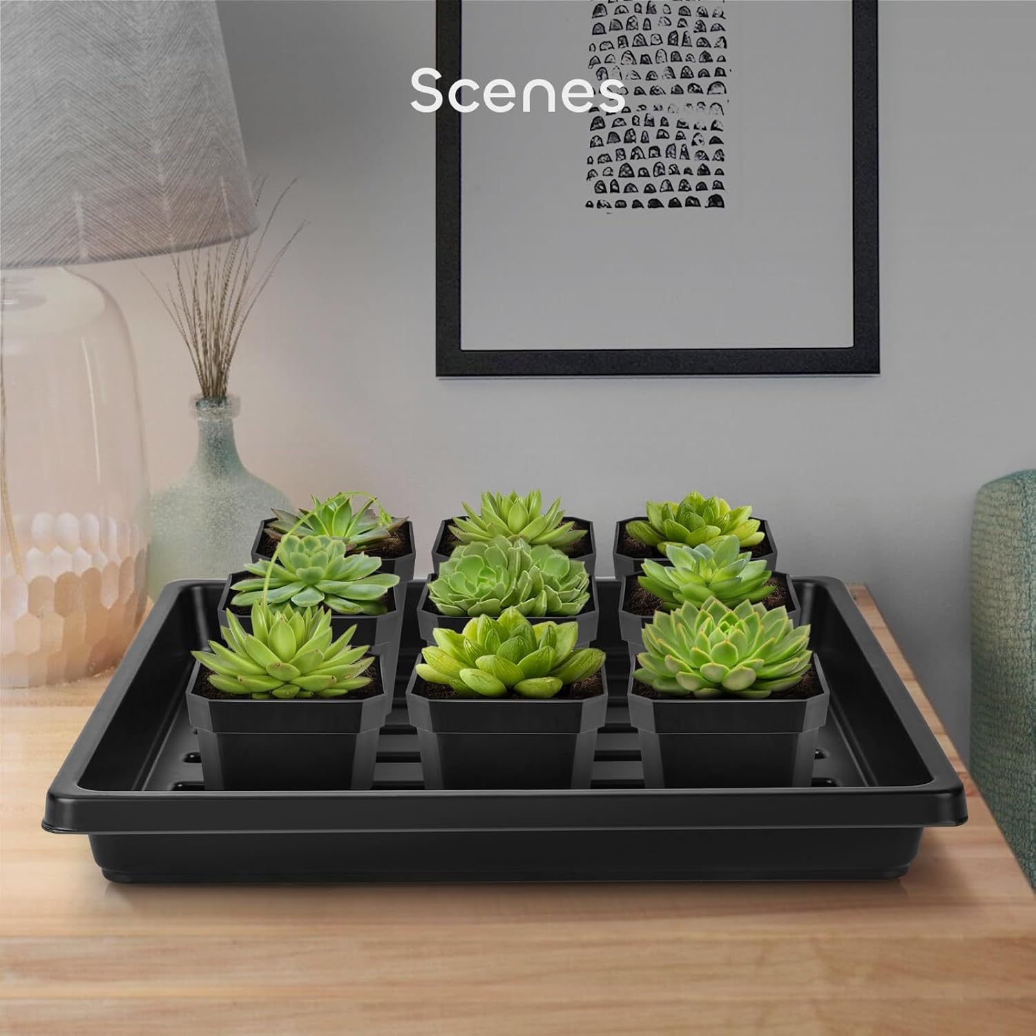 6 Packs Seed Starter Trays 10.6 x 10.6 Inch, Plastic Seed Germination Trays with 15 Pcs Plant Labels, Seedling Starting Pot with Drain Holes for Greenhouse