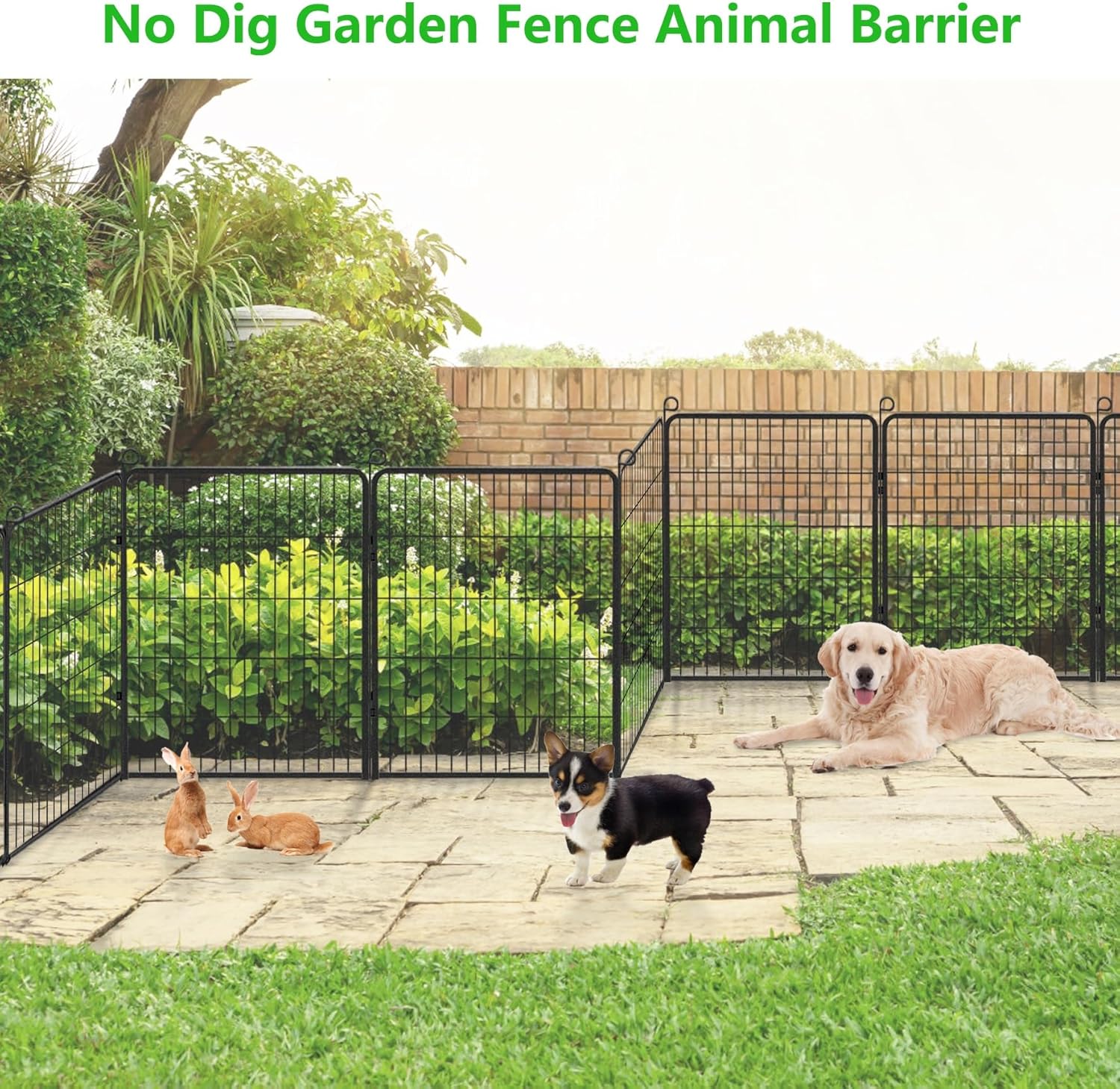 Decorative Garden Fence Metal Fence Panels No Dig Animal Barrier Fence with Gate, 32in(h) x 52ft(l) Garden Edging Fence