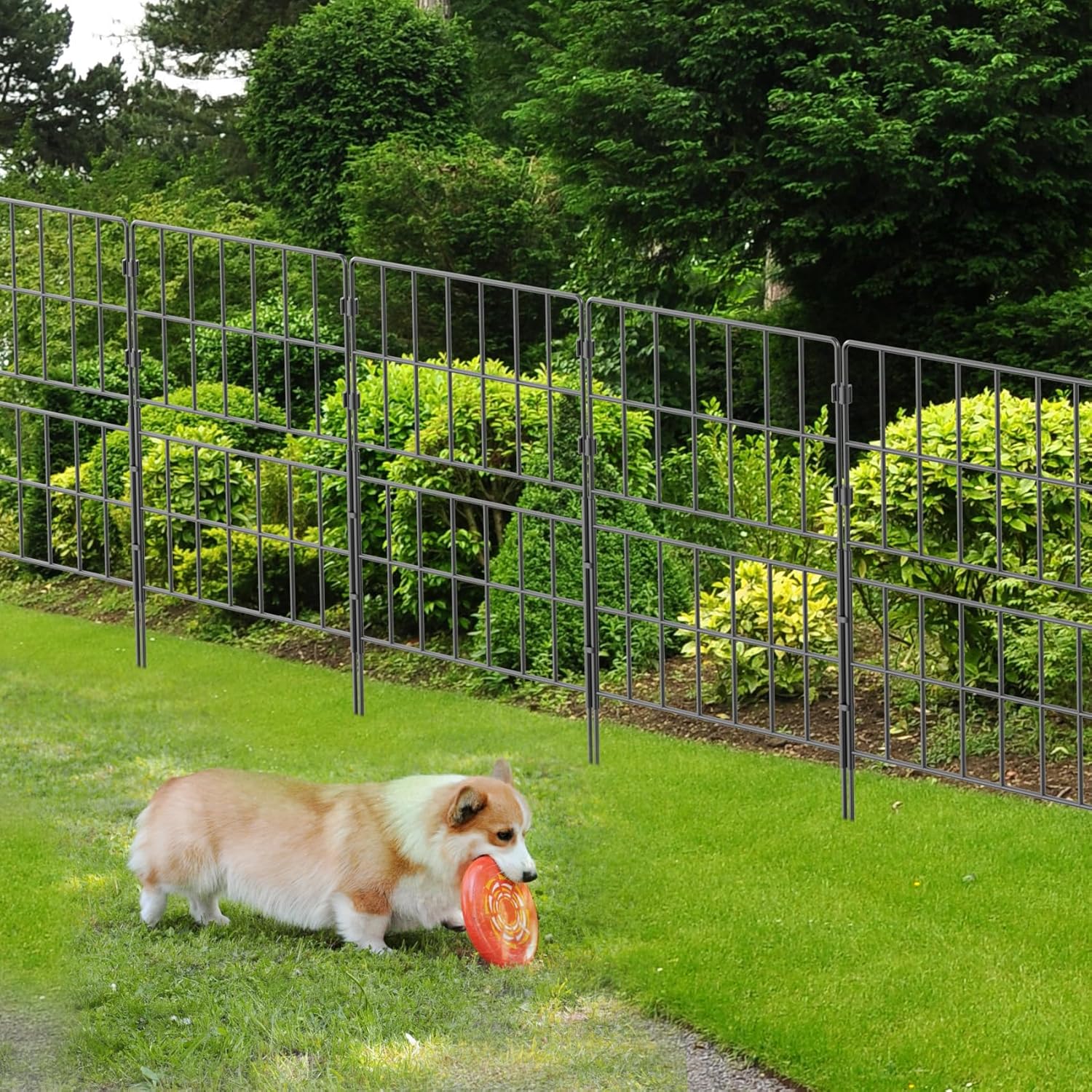 7 Pack 31.5 Inch(H) X 10 Ft(L) Decorative Garden Fence Fencing Panels, Metal Wire Border No Dig Fencing Animal Barrier