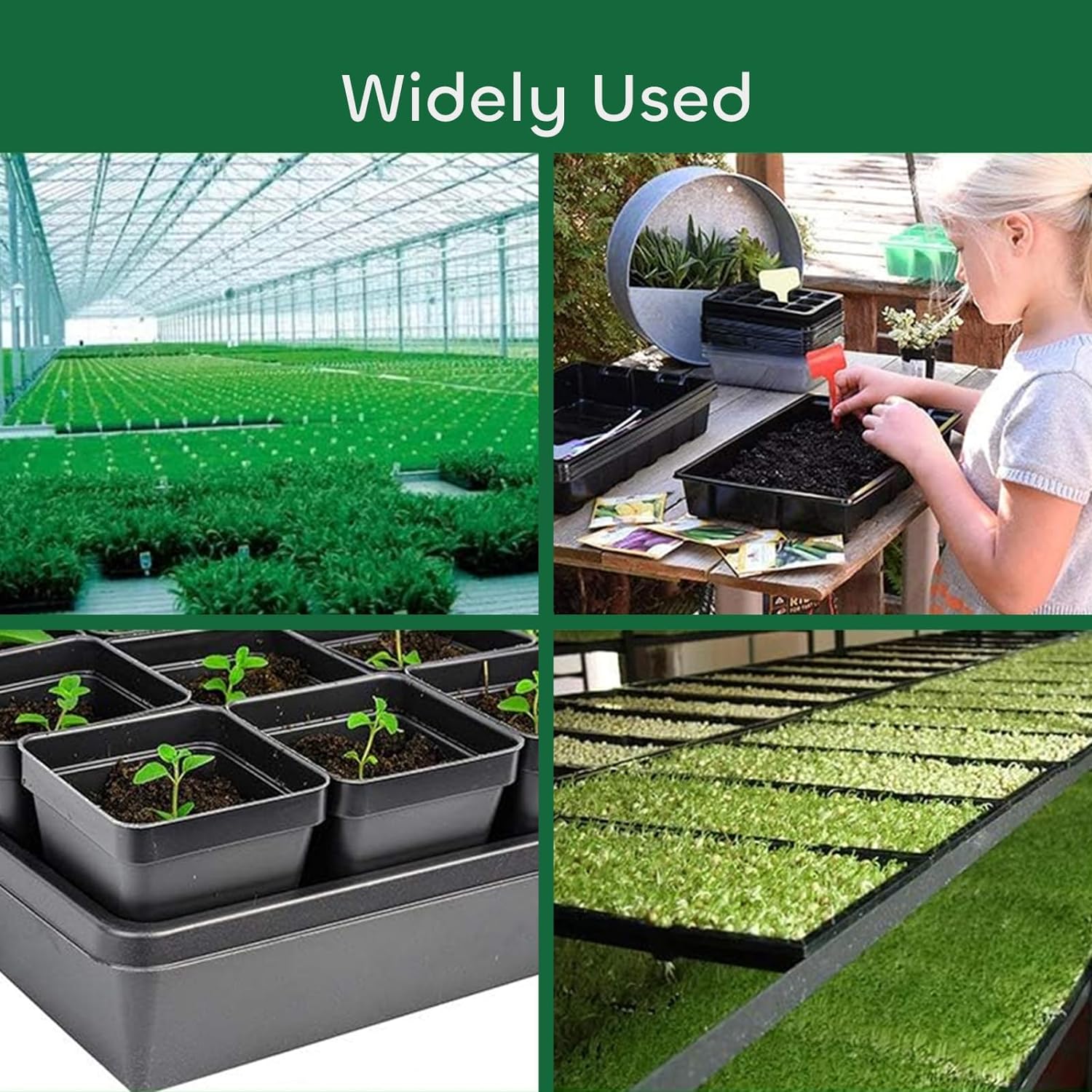 12 Packs 15 x 11 x 2.6 Inch Plastic Growing Trays with 15 Pcs Plant Labels, Seed Planting Tray Seedling Starter for Greenhouse Hydroponics Seedlings Plant Germination