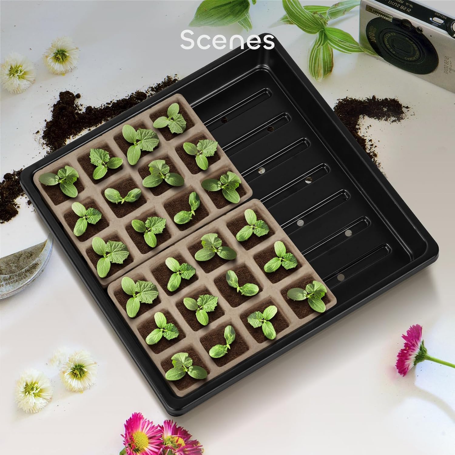 6 Packs Seed Starter Trays 10.6 x 10.6 Inch, Plastic Seed Germination Trays with 15 Pcs Plant Labels, Seedling Starting Pot with Drain Holes for Greenhouse