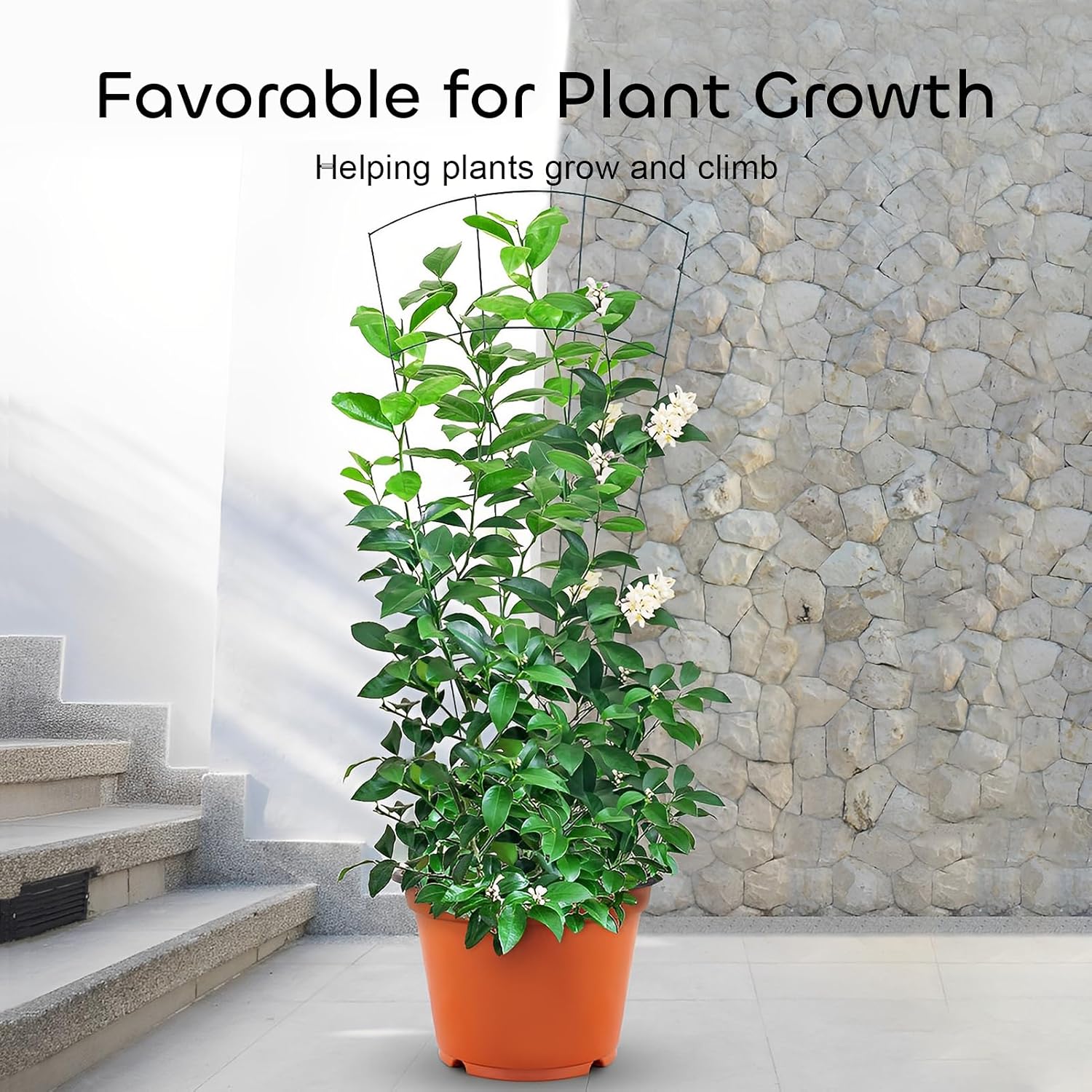 6 Pcs 43" Garden Trellis for Potted Plants, Metal Trellis for Climbing Plants Outdoor & Indoor, Fan Shape Plant Support with 20 Pcs Cable Ties for Houseplant Flower Vines Ivy, Green