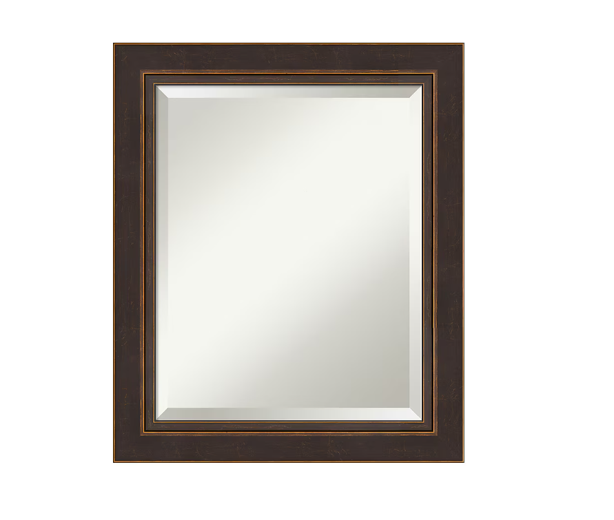 Bronze Frame 20.5-in W x 24.5-in H Bronze,Brown Framed Wall Mirror