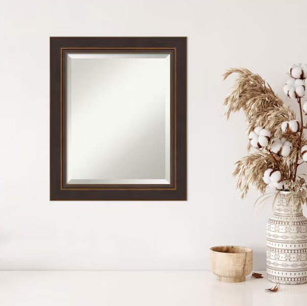 Bronze Frame 20.5-in W x 24.5-in H Bronze,Brown Framed Wall Mirror