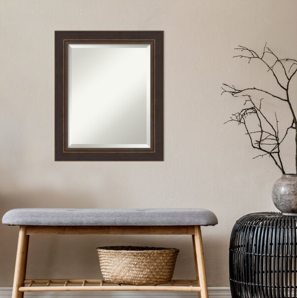 Bronze Frame 20.5-in W x 24.5-in H Bronze,Brown Framed Wall Mirror