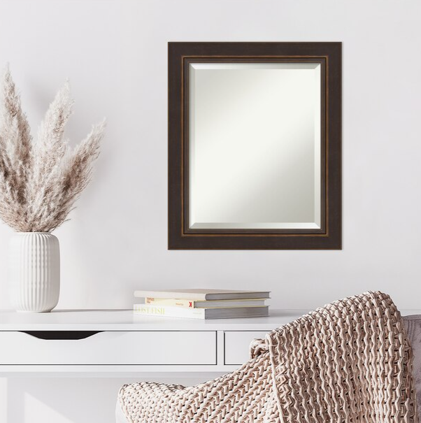 Bronze Frame 20.5-in W x 24.5-in H Bronze,Brown Framed Wall Mirror