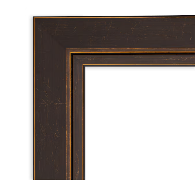 Bronze Frame 20.5-in W x 24.5-in H Bronze,Brown Framed Wall Mirror