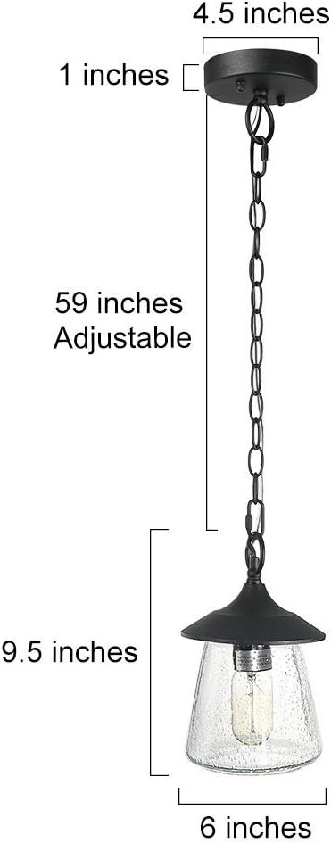 Outdoor Pendant Lights, Porch Fixture in Painted Black Metal with Clear Bubbled Glass Globe