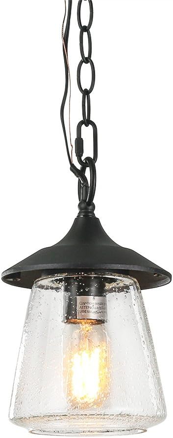 Outdoor Pendant Lights, Porch Fixture in Painted Black Metal with Clear Bubbled Glass Globe
