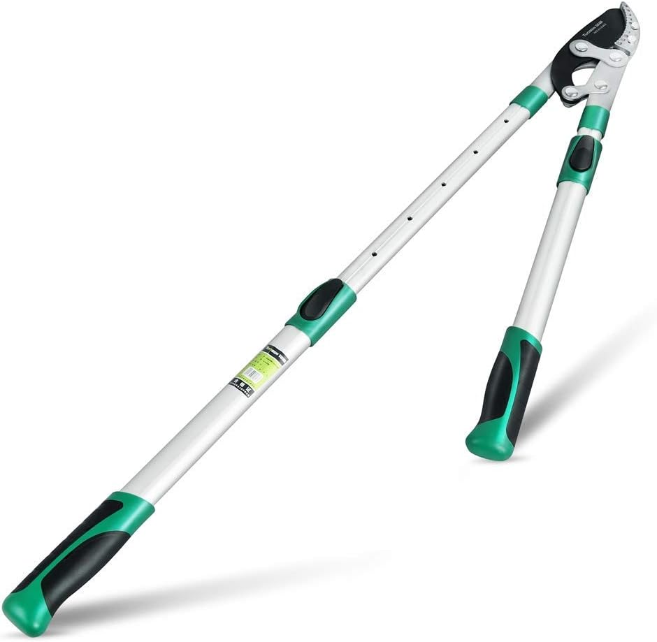 Heavy Duty Anvil Lopping Shears -2 inch Cutting Capacity Bypass Lopper - Extendable 26 Inch to 41 Inch