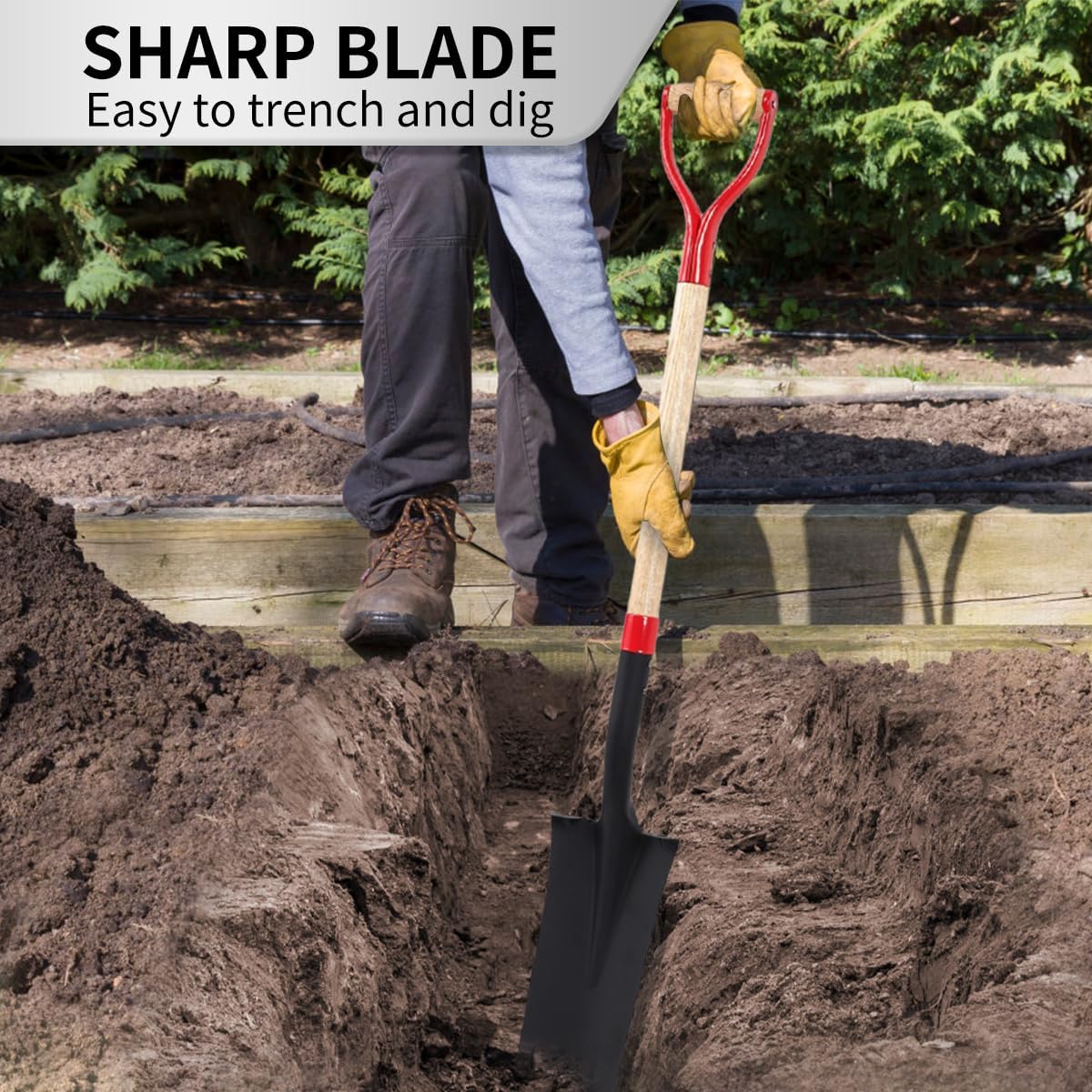 Spade Shovel for Digging, Heavy Duty Shovel with D-Handle, Trench Shovel for Gardening, 45 Inches