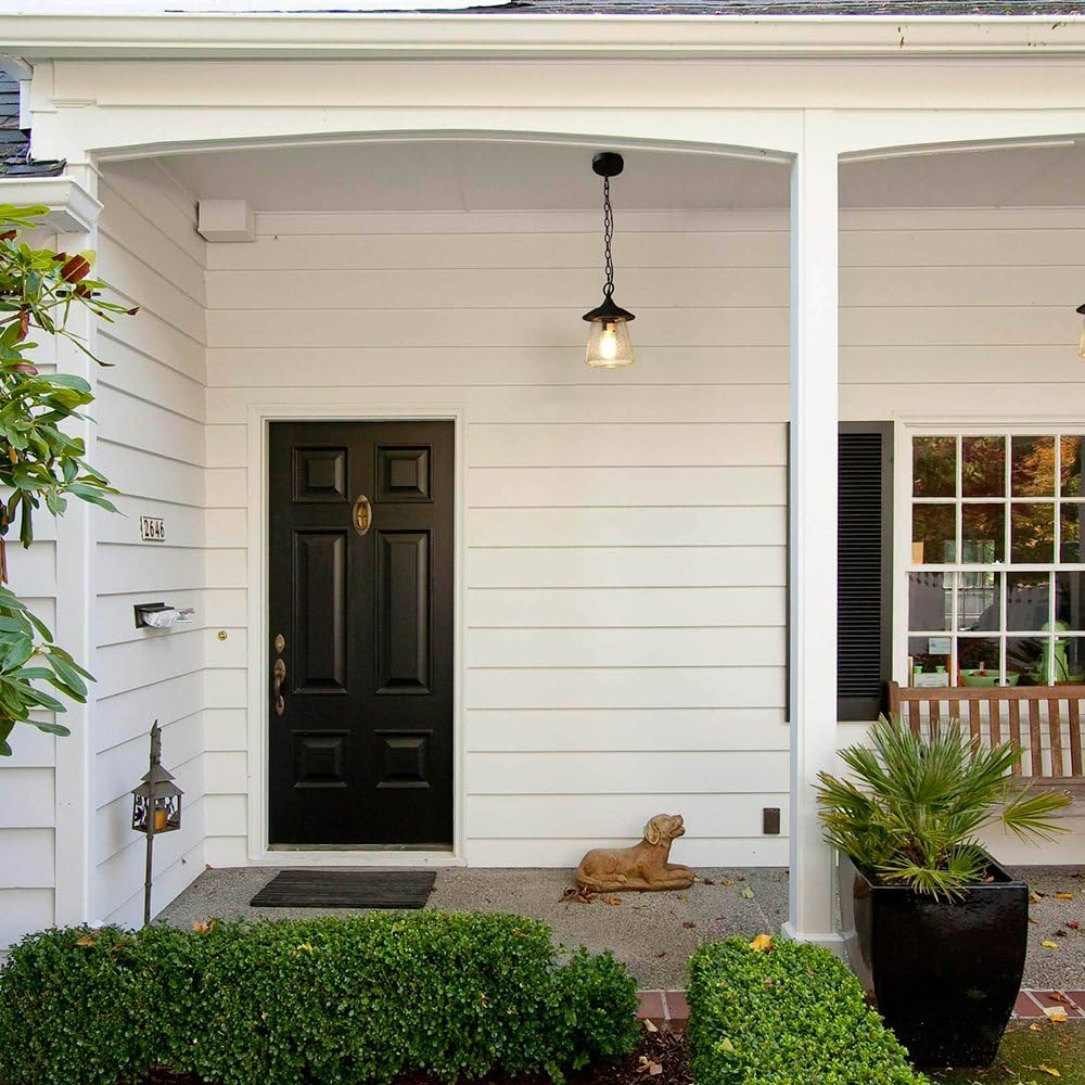 Outdoor Pendant Lights, Porch Fixture in Painted Black Metal with Clear Bubbled Glass Globe