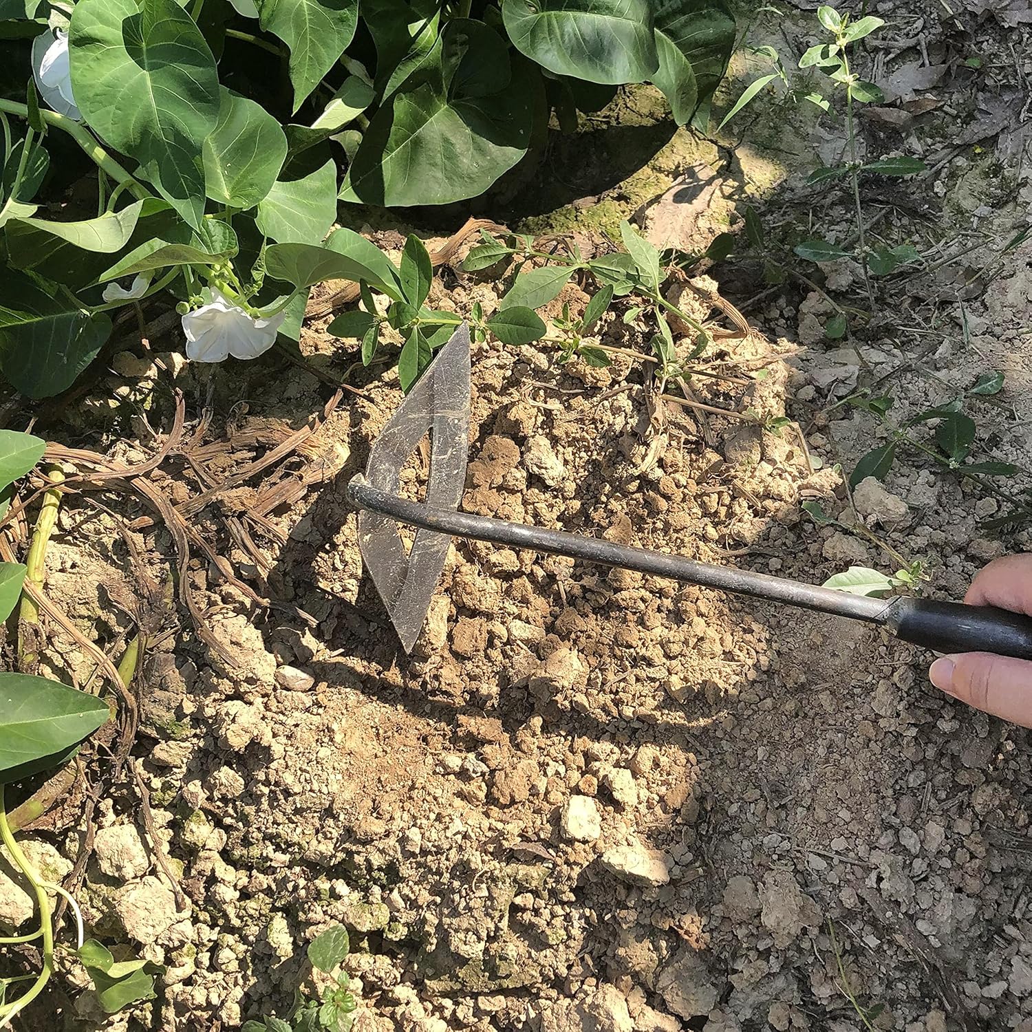 Pack of Weeding Tool Hollow Hoe and Japanese Sickle Garden Tool and a Pair of Professional Gardening Gloves