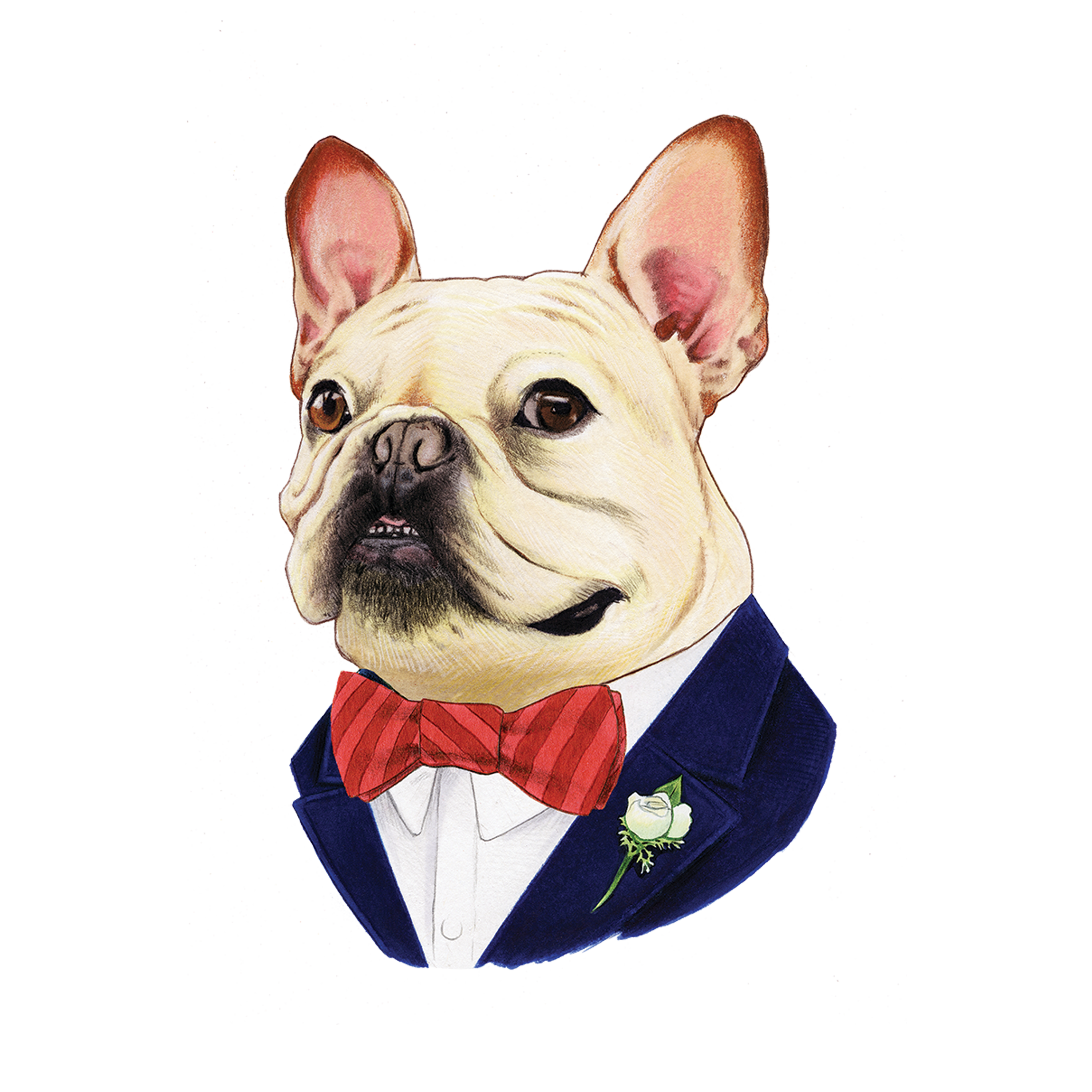 French Bulldog Tattoo-Tattoo Cultures