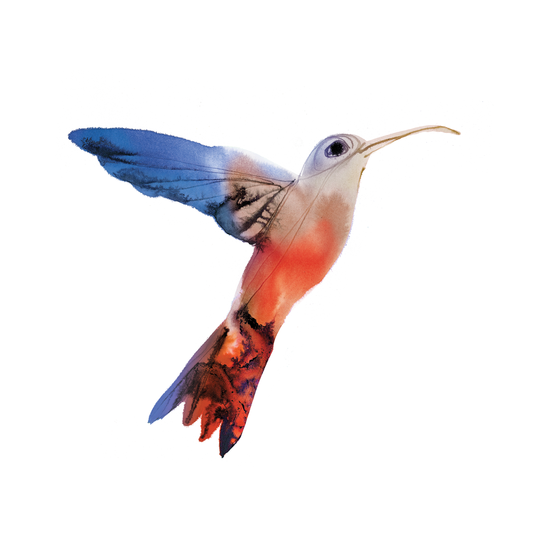 Watercolor Hummingbird Tattoo-Tattoo Cultures